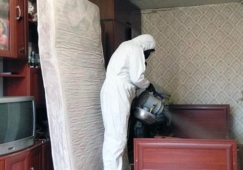 Уничтожение блох в квартире